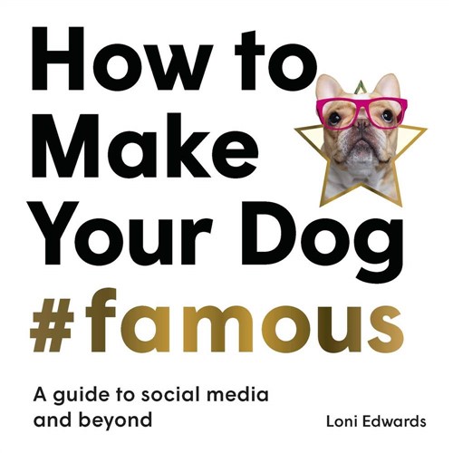 How To Make Your Dog #Famous 